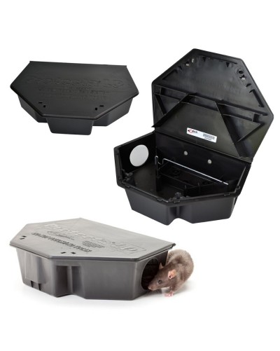 PROTECTA LP NOIRE 