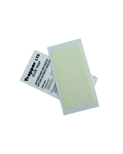 TRAPPER LTD 