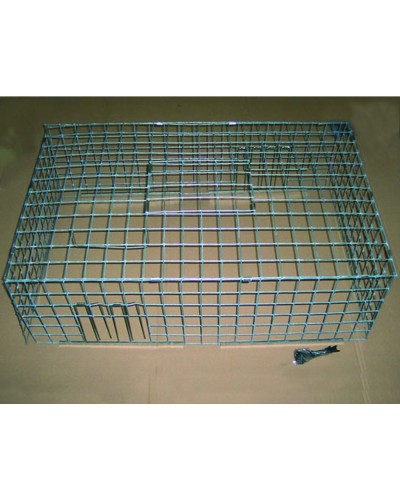 CAGE A PIGEON PLIABLE MK4 2 ENTREES 97*62*32 *