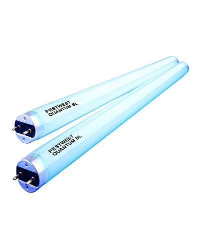 TUBE 14W  60CM_T5_PESTWEST  GAINE & NON SYNERGETIC sur commande
