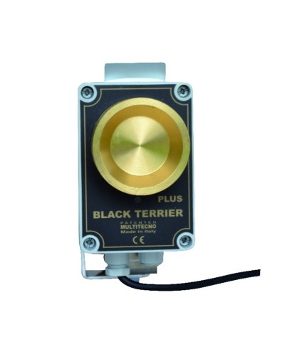 BLACK TERRIER PLUS