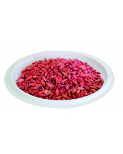 MAGNUM ULTRA SEAU DE 5 Kg