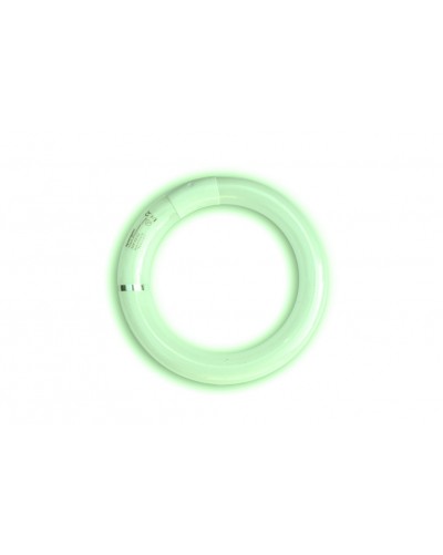 TUBE ROND VERT SYNERGETIC 22W GAINE