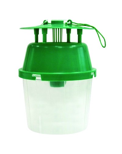 FUNNEL TRAP VERT TRANSPARENT