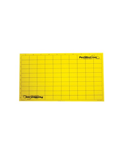 PLAQUE DE GLU JAUNE AVEC QUADRILLAGE CHAMELEON LOT DE 6