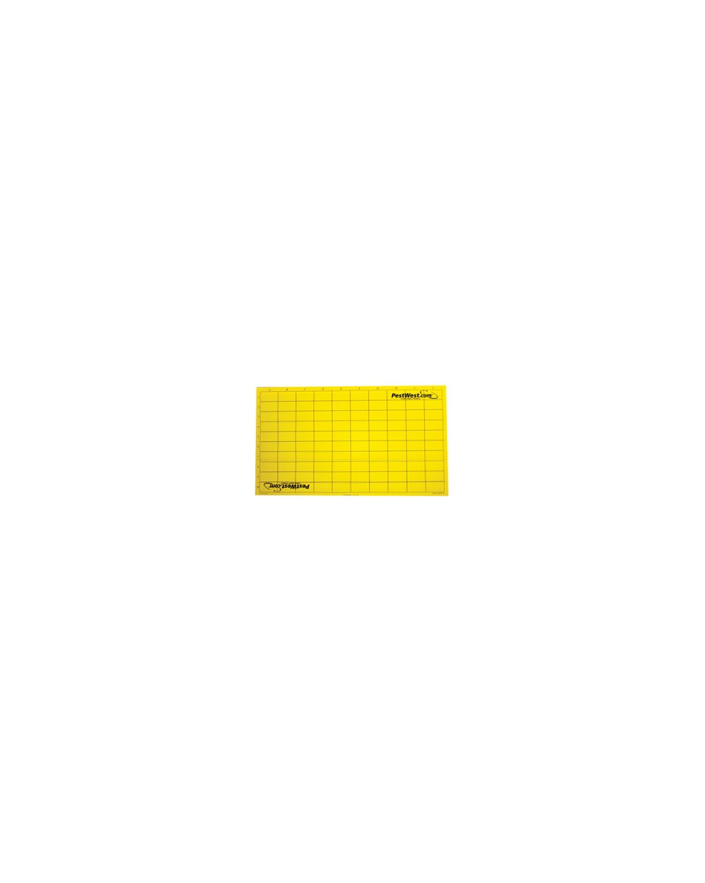 PLAQUE DE GLU JAUNE AVEC QUADRILLAGE CHAMELEON LOT DE 6