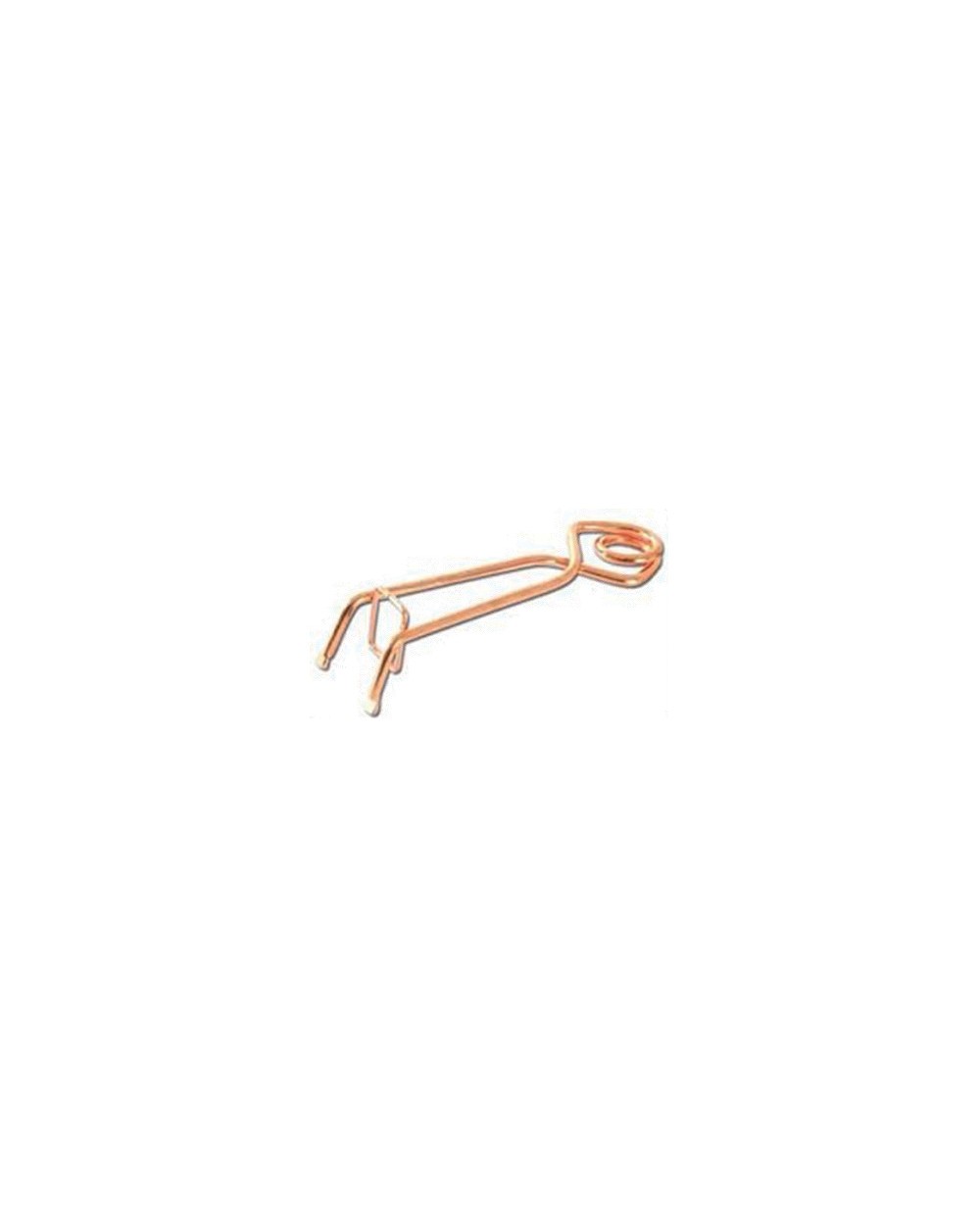 PIEGES PUTANGES lot de 10