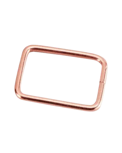 PIEGE PUTANGE tente lot de 100