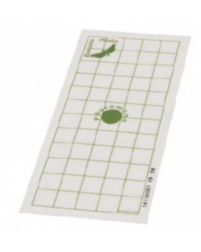 PLAQUE DE GLU MITES DU VETEMENT 10 lots de 10u