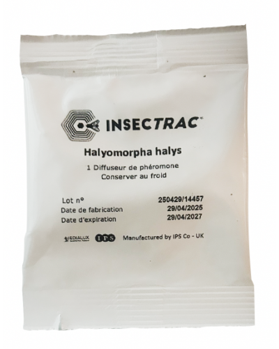 PHEROMONE HalyomorphaPunaise diabolique     7-9 sem