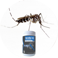Insecticide moustiques