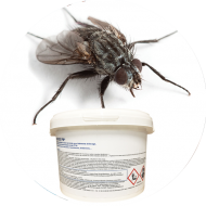 Insecticides mouches