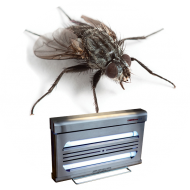 DIV - Destructeurs d'insectes volants