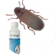 Insecticides insectes denrées stockées