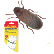 Piégeage et monitoring insectes denrées stockées