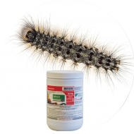 Insecticides chenilles défoliatrices