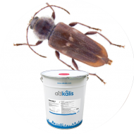 Insecticides insectes du bois