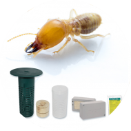 Matériel insectes du bois